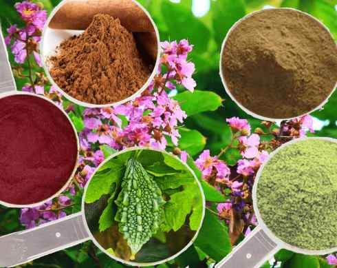 Gogluco Extend ingredients