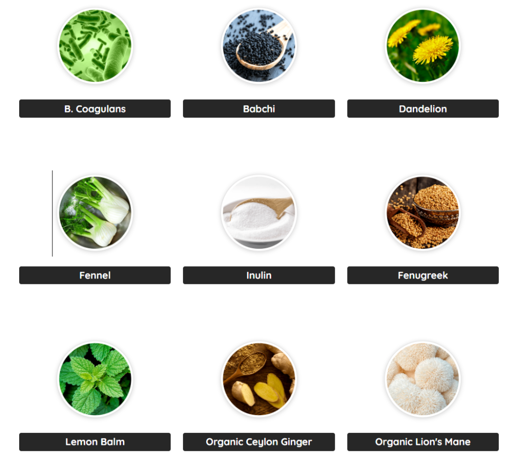 PrimeBiome Ingredients