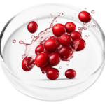 ingredient3 (3)