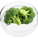 ingredient3 (4)
