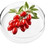 ingredient5 (4)