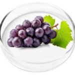 ingredient6 (3)