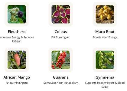GlucoTonic Review